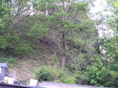 Kendon Viaduct, Western parapet, Crumlin, May 2010
